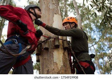 Hiker couple adjusting safety gear in the forest on a sunny day - Powered by Shutterstock