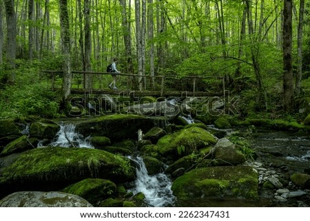 Hiker Crossing Jakes Creek In Great Smoky Mountains National Park
