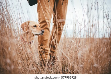 Hiker and dog standing in high grass