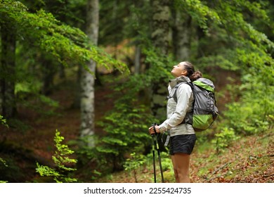 Hiker in a forest breathing fresh air standing alone - Powered by Shutterstock