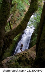 Hiker In Front Of A Waterfall In A Luscious Forest