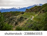 hiker girl enjoying a walk on kaikoura coast track in canterbury, new zealand; scenic track on famous peninsula with fur seal colony