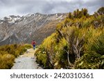 hiker girl walking alongside hooker valley track toward hooker lake and mt cook, famous walk in canterbury, new zealand south island