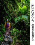 hiker girl walking through dense rainforest in fiordlands national park near milford sound, new zealand south island; famous path to lake marian