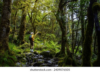 hiker girl walking through dense rainforest in fiordlands national park near milford sound, new zealand south island; famous path to lake marian - Powered by Shutterstock
