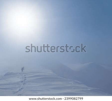 hiker group walking among snowmound hills in dense mist, winter travel scene