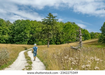 A hiker in a hat and a blue dress walks through a dry grassy field lined with trees in a valley