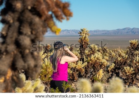 Hiker in Joshua Tree National Park during the day surrounded by Cholla Cactus