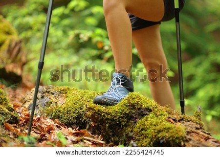 Hiker legs walking in a green forest on summer