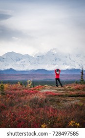 Hiker At Mountain Top In Front Of Mount Denali