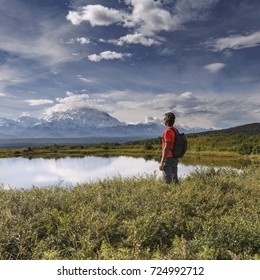 Hiker In The National Park Denali (McKinley), Alaska, USA