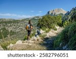 Hiker in an olive grove in front of Penyal des Migdia, 1401 meters, municipality of Fornalutx, Mallorca, Balearic Islands, Spain