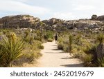 Hiker on Barker Dam loop trail in Joshua Tree National Park, California, USA