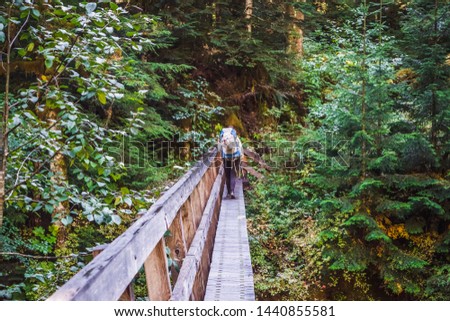 Hiker on bridge in Olympic National Park in Washington