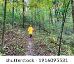 Hiker on the Ice Age Trail in the rain wearing a yellow raincoat