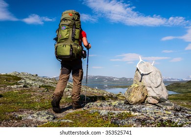 Hiker On The Kungsleden