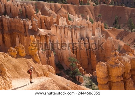 Hiker photographing on the Queens Garden Trail, Bryce Canyon National Park, Utah, United States of America, North America