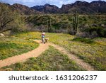 A hiker and puppy explore a desert trail through a field of poppies. Catalina State Park near Tucson.