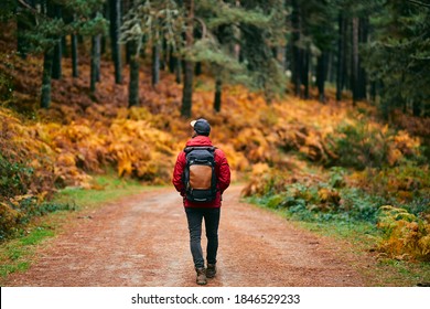 A hiker in a red coat and brown backpack walking on a mountain path in spring or autumn. Hiker, backpacker in autumn landscape. Mountain and trekking. Concept: Adventure, Art, Travel - Powered by Shutterstock
