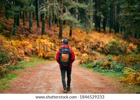 A hiker in a red coat and brown backpack walking on a mountain path in spring or autumn. Hiker, backpacker in autumn landscape. Mountain and trekking. Concept: Adventure, Art, Travel