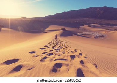 Hiker in sand desert. Sunrise time. - Shutterstock ID 525888652