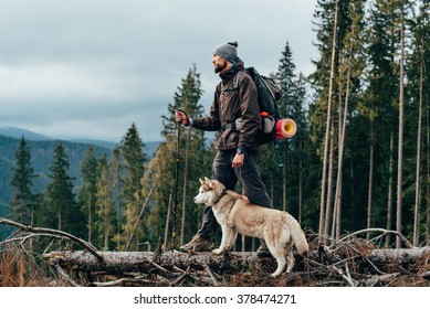 hiker with siberian husky dog looking at beautiful view in mountains