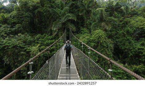 Hiker in the suspension bridge in rainforest - Powered by Shutterstock