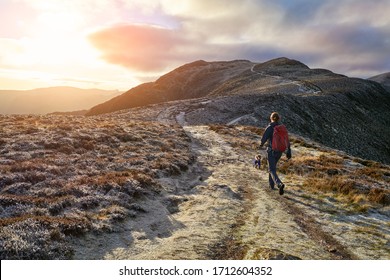 A hiker and their dog walking towards the mountain summit of High Spy from Maiden Moor at sunrise on the Derwent Fells in the Lake District, UK. - Powered by Shutterstock