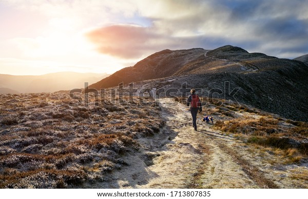A hiker and their dog walking towards the\
mountain summit of High Spy from Maiden Moor at sunrise on the\
Derwent Fells in the Lake District,\
UK.