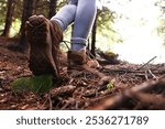 Hiker in trekking shoes walking in forest, closeup