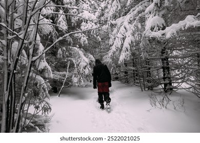 Hiker trekking through a snow-covered forest trail in winter - Powered by Shutterstock