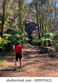 Hiker Visits Glow Worm Cave Wollemi National Park Nsw