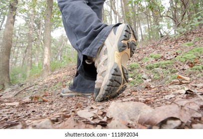 A Hiker Walking The Appalachian Trail In Pennsylvania