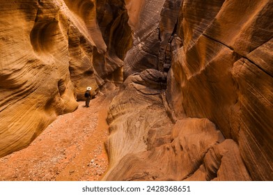 Hiker walking down the stream between eroded entrada sandstone slot canyon walls at Willis creek, Grand Staircase-Escalante National Monument, Kane County, Utah, United States of America, USA