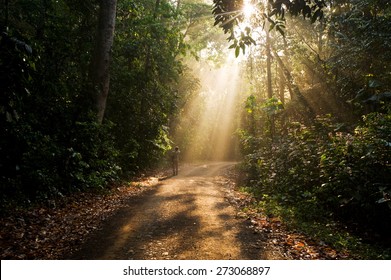 Light Shining Through Darkness Images Stock Photos Vectors Shutterstock