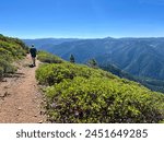 Hiker walking through Manzanita bushes on the Pacific Crest Trail in Southern California in 2023