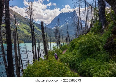 A hiker walks the dirt path of the Sun Point Nature Trail that hugs Saint Mary Lake at Glacier National Park, Montana during a late summer afternoon.  - Shutterstock ID 2255586573