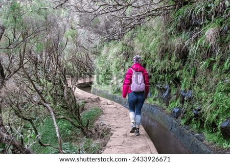 Hiker woman on idyllic Levada walk 25 fountains in evergreen subtropical Laurissilva forest of Rabacal, Madeira island, Portugal, Europe. Water irrigation channel and trail along vibrant laurel trees