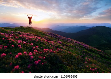 Hiker woman standing with hands up achieving the top. Girl welcomes a sun. Successful woman hiker open arms on sunrise mountain top. Magic pink rhododendron flowers on summer mountains - Powered by Shutterstock