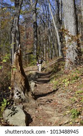 Hikers Along White Oak Canyon Along Skyline Drive And Shenandoah National Park