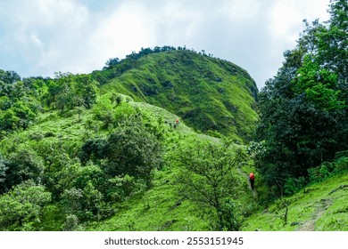 Hikers ascend lush green hill scenic nature trail monsoon season outdoor adventure elevated viewpoint eco-tourism - Powered by Shutterstock