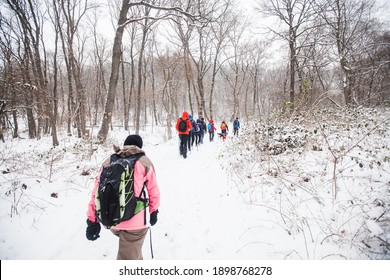 Hikers with backpack hiking on snowy trail. Group of people walking together at winter day. Back view.
