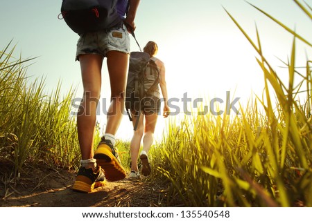 Hikers with backpacks walking through a meadow with lush grass