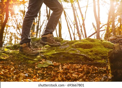 Hikers Boots On Forest Trail. Autumn Hiking. Close-up Of Male Walking In Trekking Shoes On The Background Of Leaves And Trees. Travel, Sports, Lifestyle Concept.