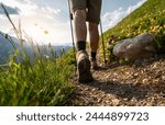 hikers boots  walking on a mountain trail with trekking poles and wildflower mountain landscape 