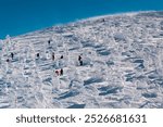 Hikers exploring the natural snow sculptures at Zao Onsen on a cold, clear winter day