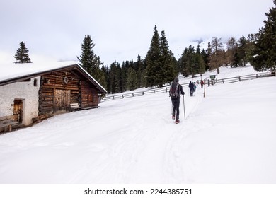 Hikers go trekking in the snow with hiking sticks during the winter holidays in the woods in the mountains. Trentino Alto Adige, Funes, South Tyrol, Italy. Peolple walking on the snow in mountain
