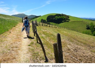 Hikers on the Camino del norte in the Basque Country