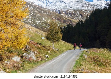 Hikers on a dirt road in a alp valley at autumn