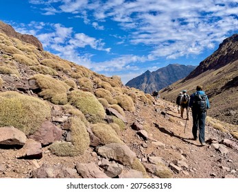  Hikers on Djebel Toubkal trek,North Africa's highest mountain in the High Atlas Mountains, Morocco. 